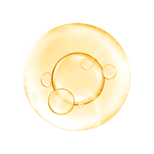 Example Image
