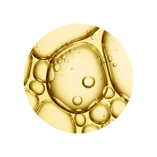 Example Image