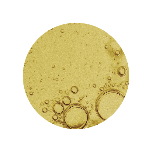 Example Image
