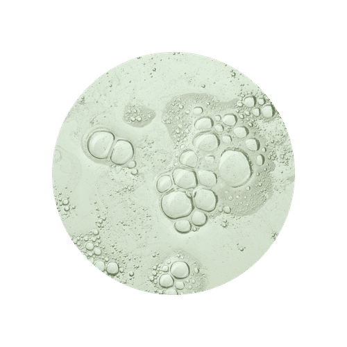 Example Image