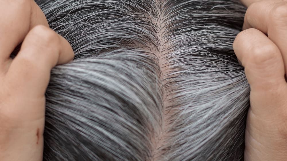 Science Behind Premature Hair Greying