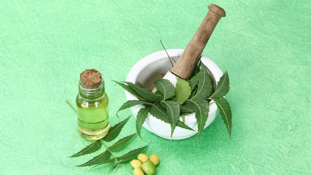 Neem Benefits For Acne