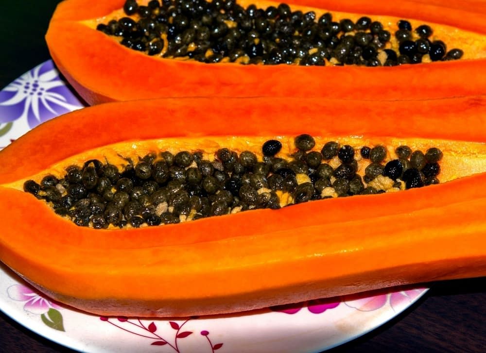 Papaya Seeds: Benefits, Uses, Side Effects & More