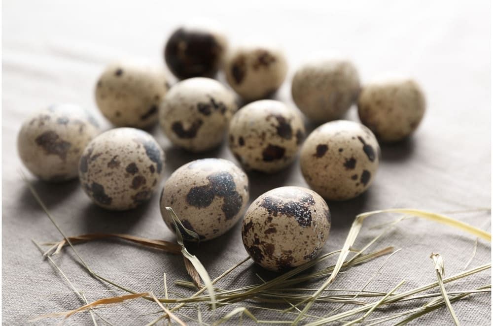 Quail Eggs: Nutrition, Benefits, How To Prepare & Side Effects
