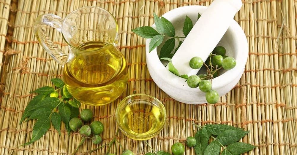 Neem Oil for Hair: Benefits, Side Effects & How to Use It?