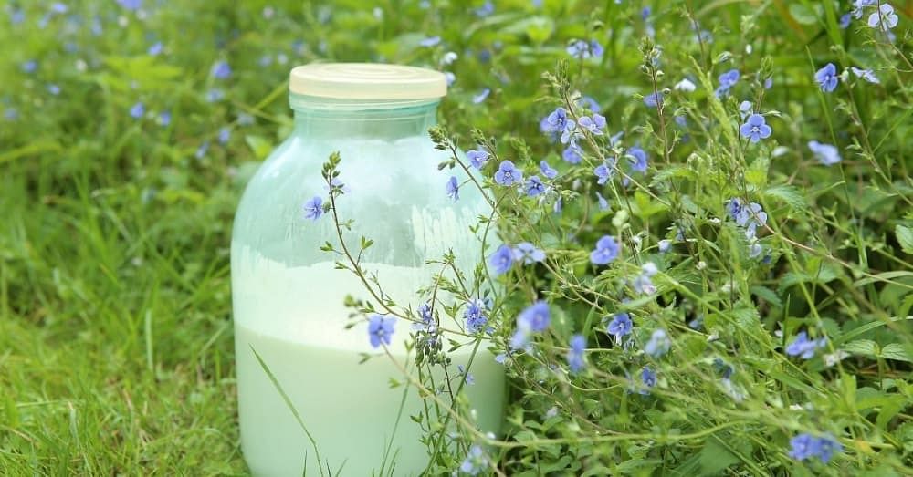 Incredible Raw Milk on Face Benefits, Uses ~ Study Backed