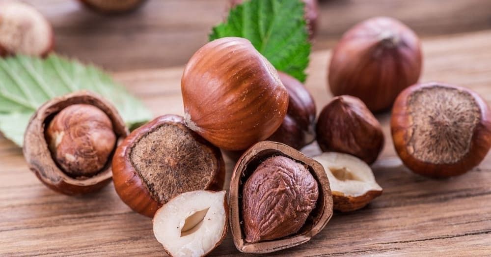13 Surprising Hazelnut Benefits We Should All Know About!
