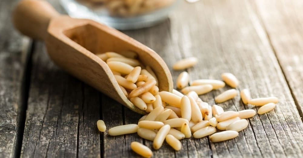 16 Mind-Blowing Benefits of Eating Chilgoza (Pine Nut) on Your Mind and Body