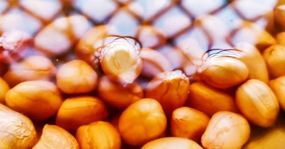 9 Surprising Soaked Peanut Benefits That Will Make You Want to Eat It Every Day!