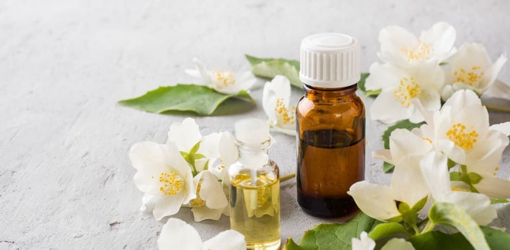 Jasmine Oil for Hair: Benefits, How To Apply & More