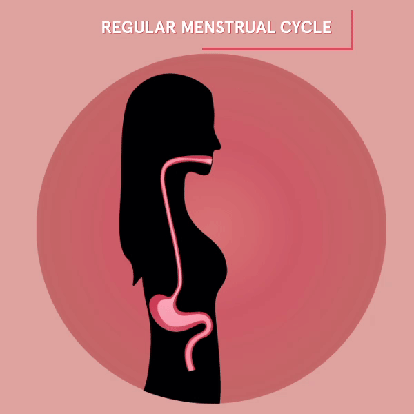 Regular menstrual cycle